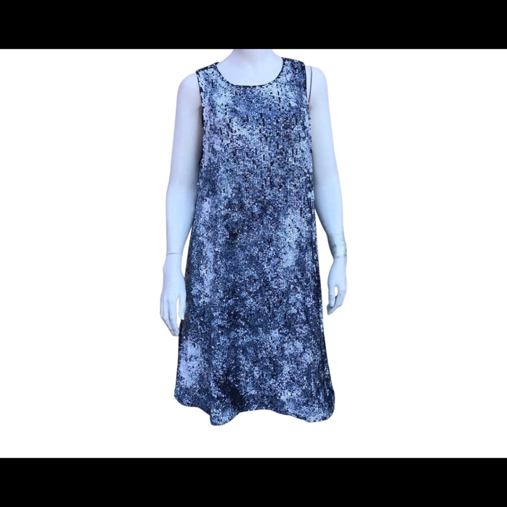 Sam Edelman Spring Dream Sequins Mesh Back Dress